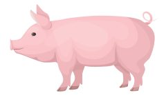 Costly ‘earmarks’ reach $15B, largest since pork ban imposed
