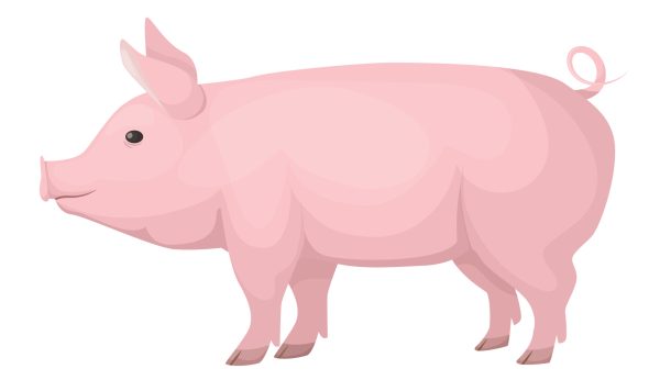 Costly ‘earmarks’ reach $15B, largest since pork ban imposed