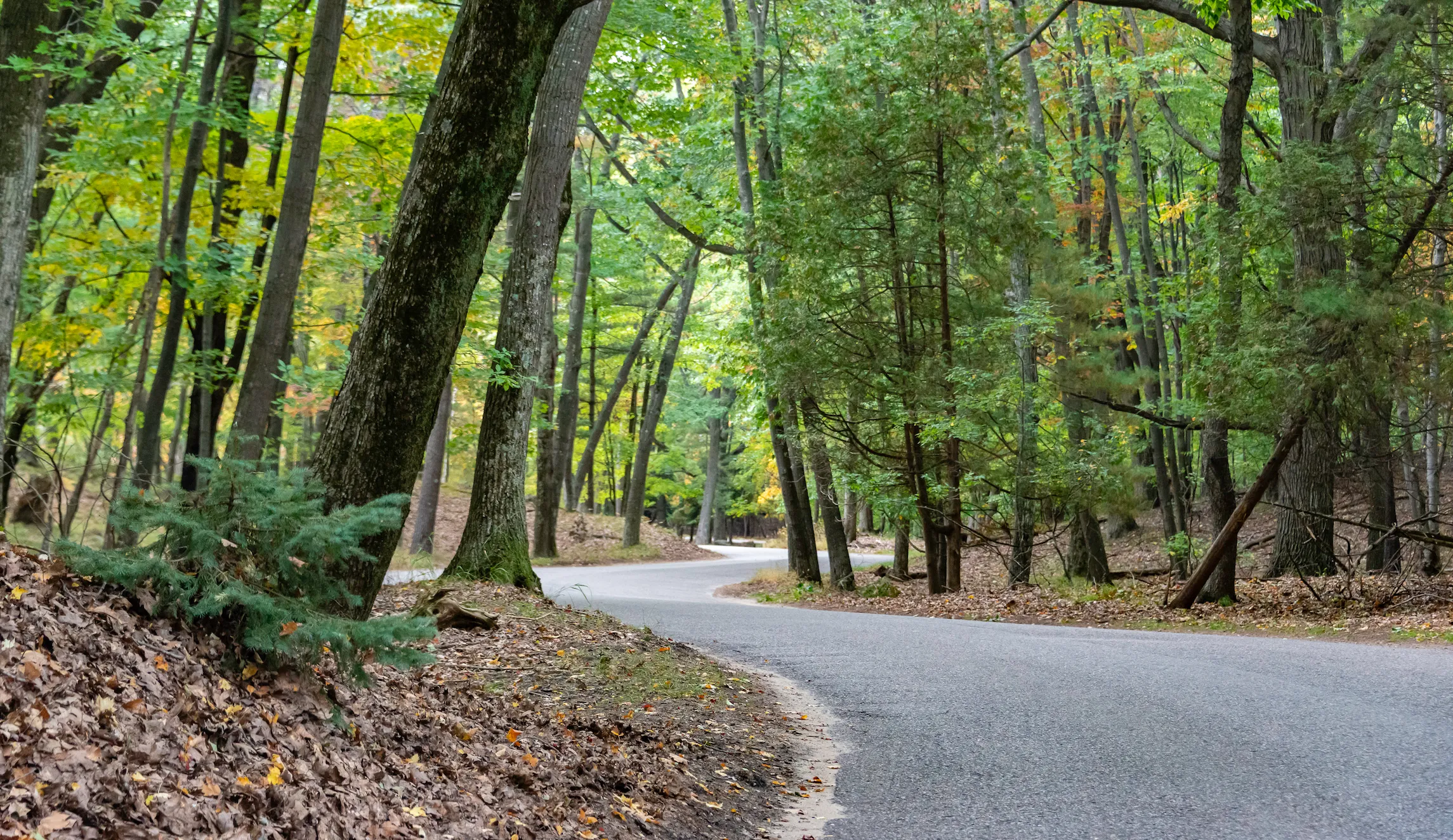 Michigan voters approve Proposal 1 to change future park funding