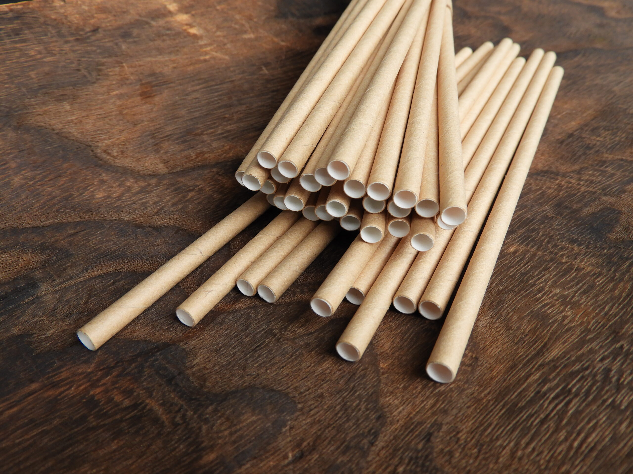 The climate cult was wrong about paper straws