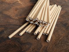 The climate cult was wrong about paper straws
