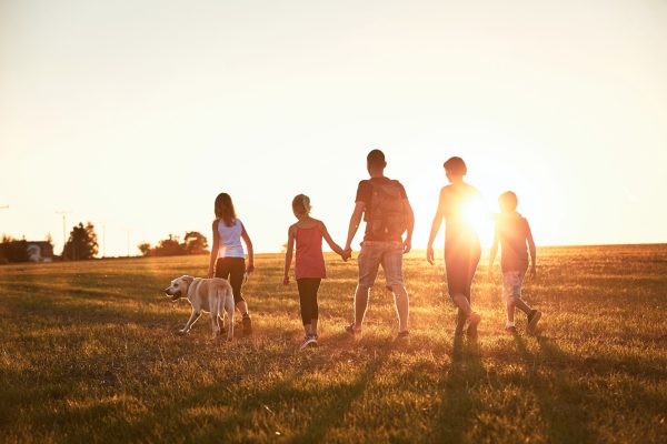 Liberal elites’ secret weapon is conservative family values