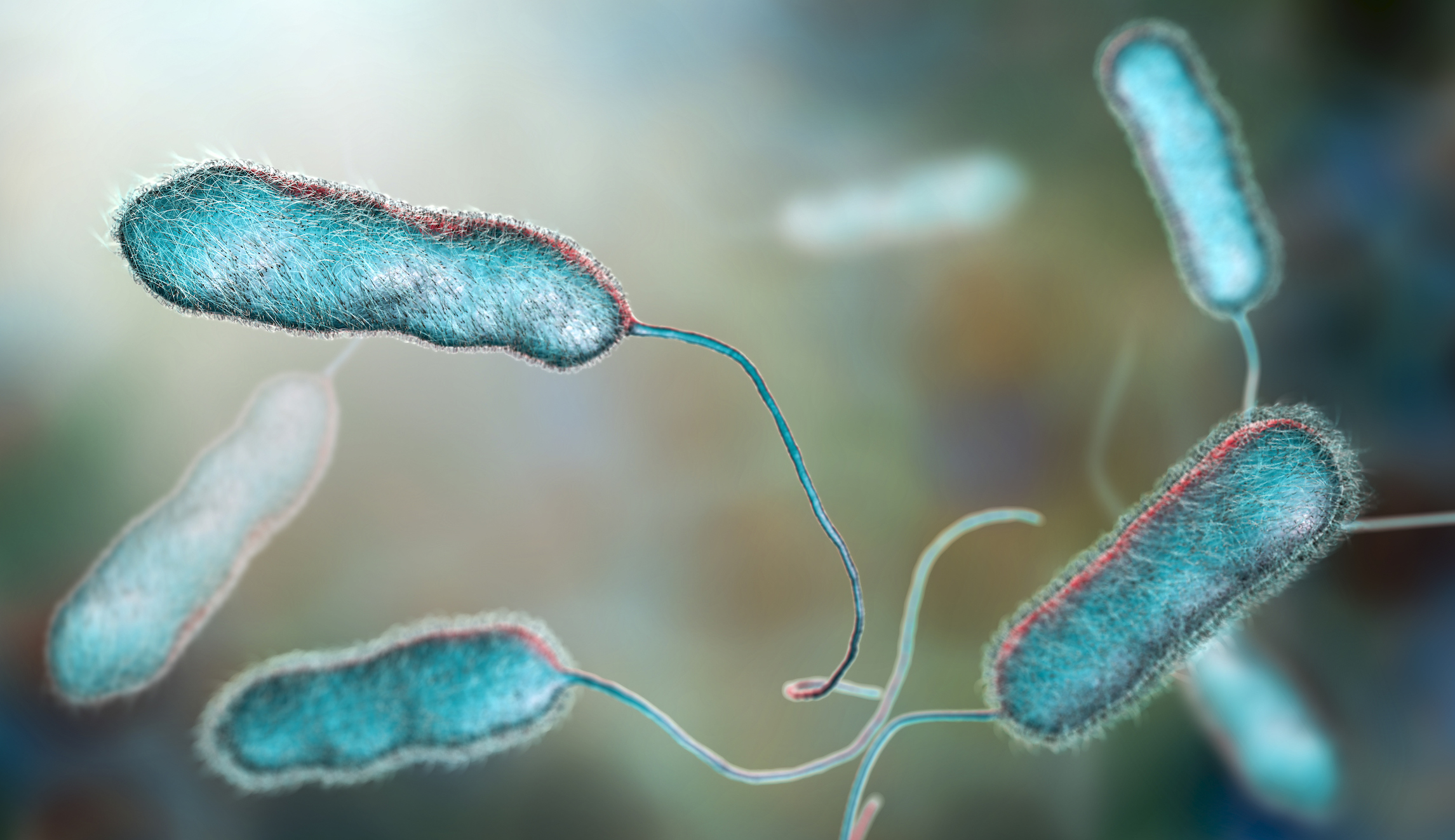 94 hospitalized and 4 dead from disease outbreak at hot tub display