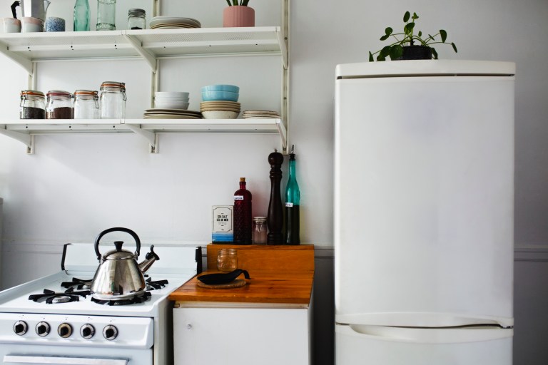 Biden is not only after your gas stove but also your fridge and washer