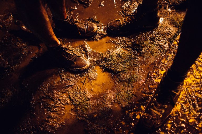 ‘Redneck Rave’ party ends with 48 charged and one impaled with a log