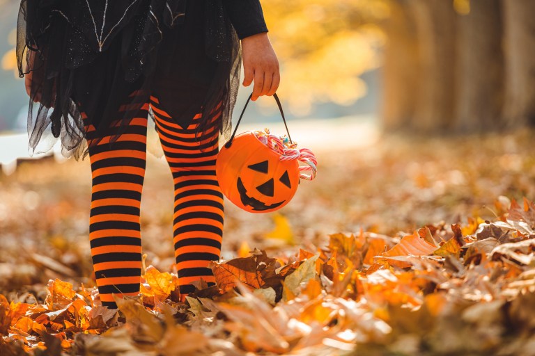 The polite trick-or-treater theory of building a working society