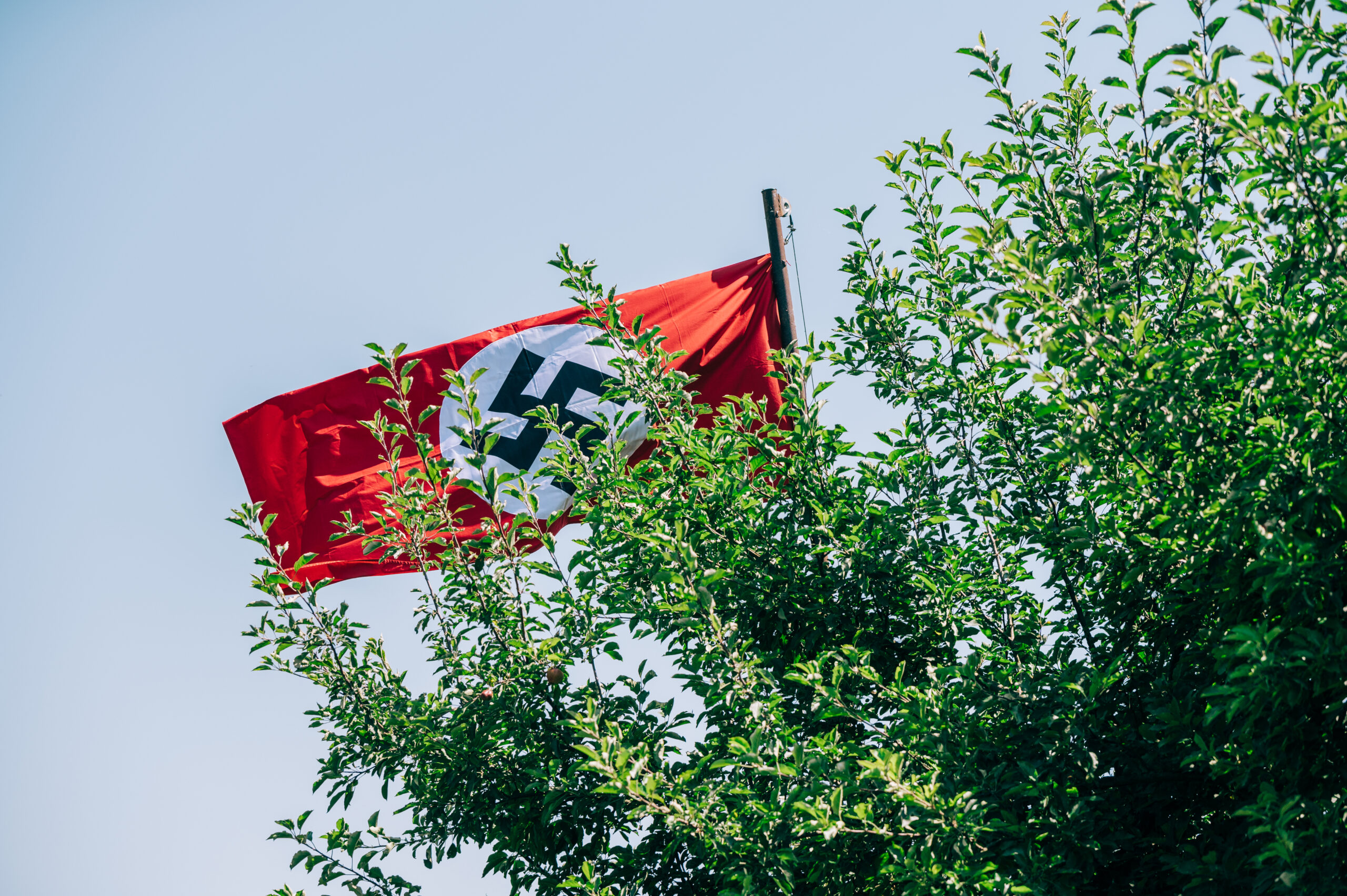 Nazi admirer feared ‘imminent antifa attack’ when he allegedly shot fleeing woman who stole flag