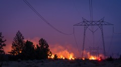 California’s schizophrenic energy policy