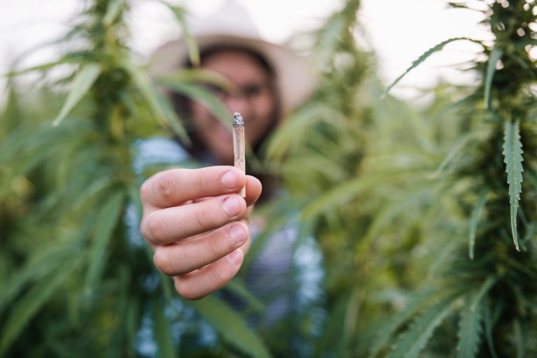 Marijuana and psychedelics use and binge drinking at ‘historic highs’: NIH