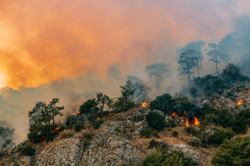 We can adapt to climate change without destroying our way of life