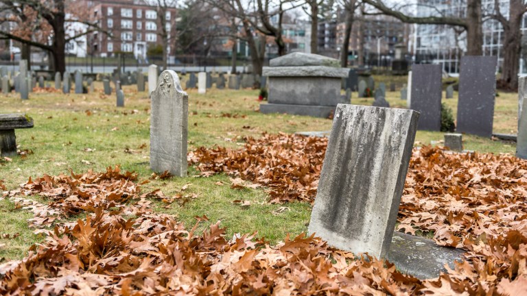 Police discover 31 decomposing bodies in Indiana funeral home