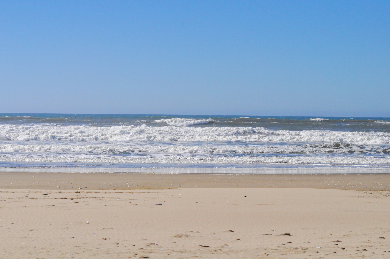 WATCH: Humanoid ‘aliens’ wash up on Australian beaches, baffling local residents