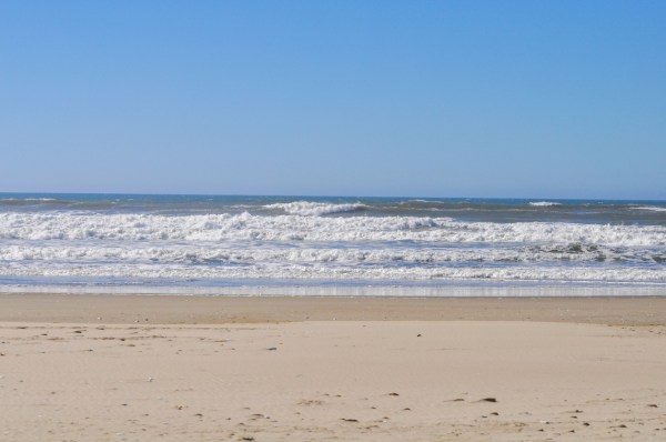 WATCH: Humanoid ‘aliens’ wash up on Australian beaches, baffling local residents
