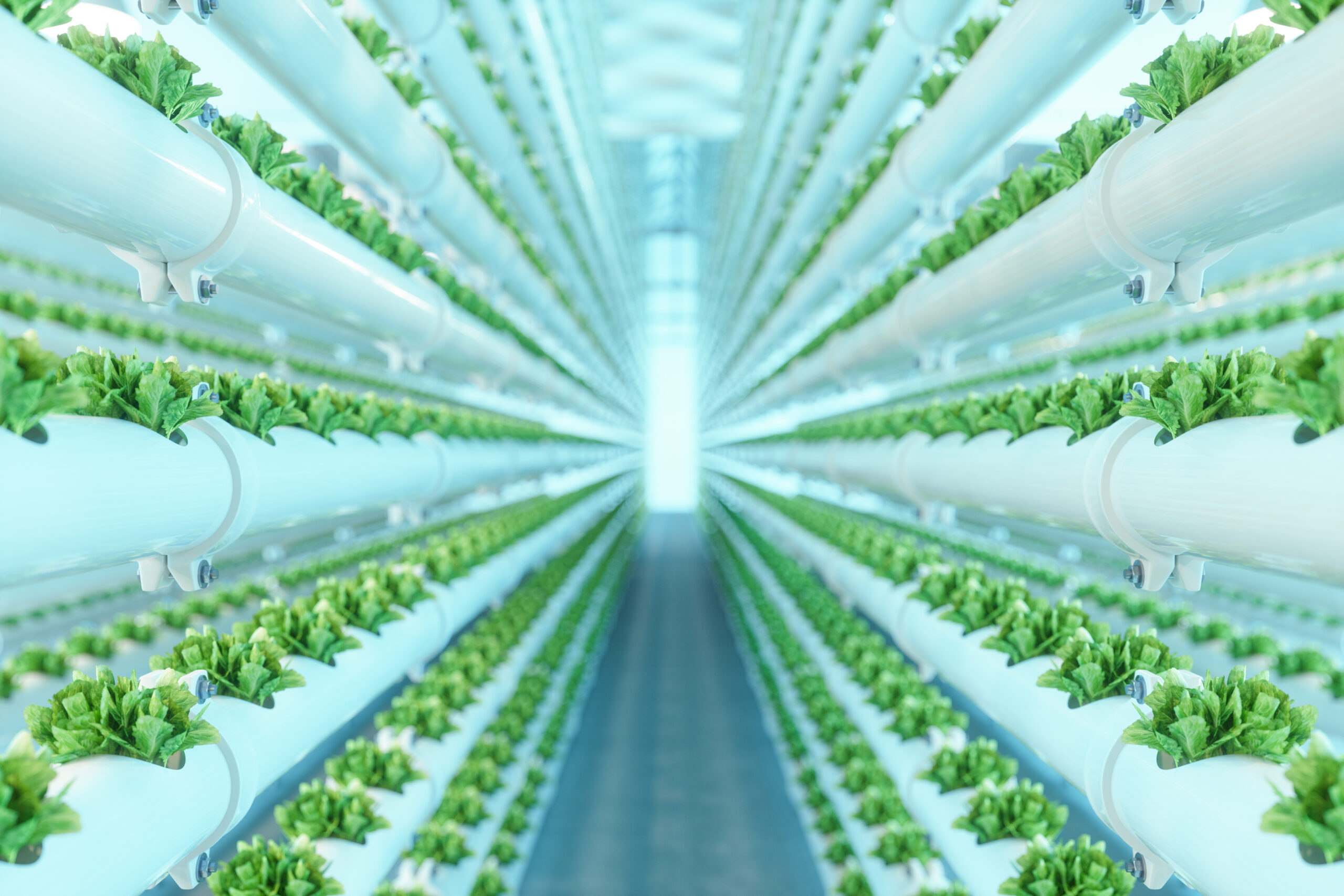 Virginia to have world’s largest indoor vertical farming facility