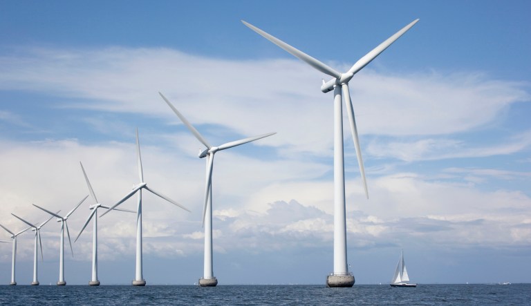 The real-world consequences of green extremism
