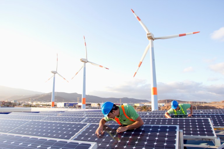 Rushing the green revolution is politically and economically nonsensical