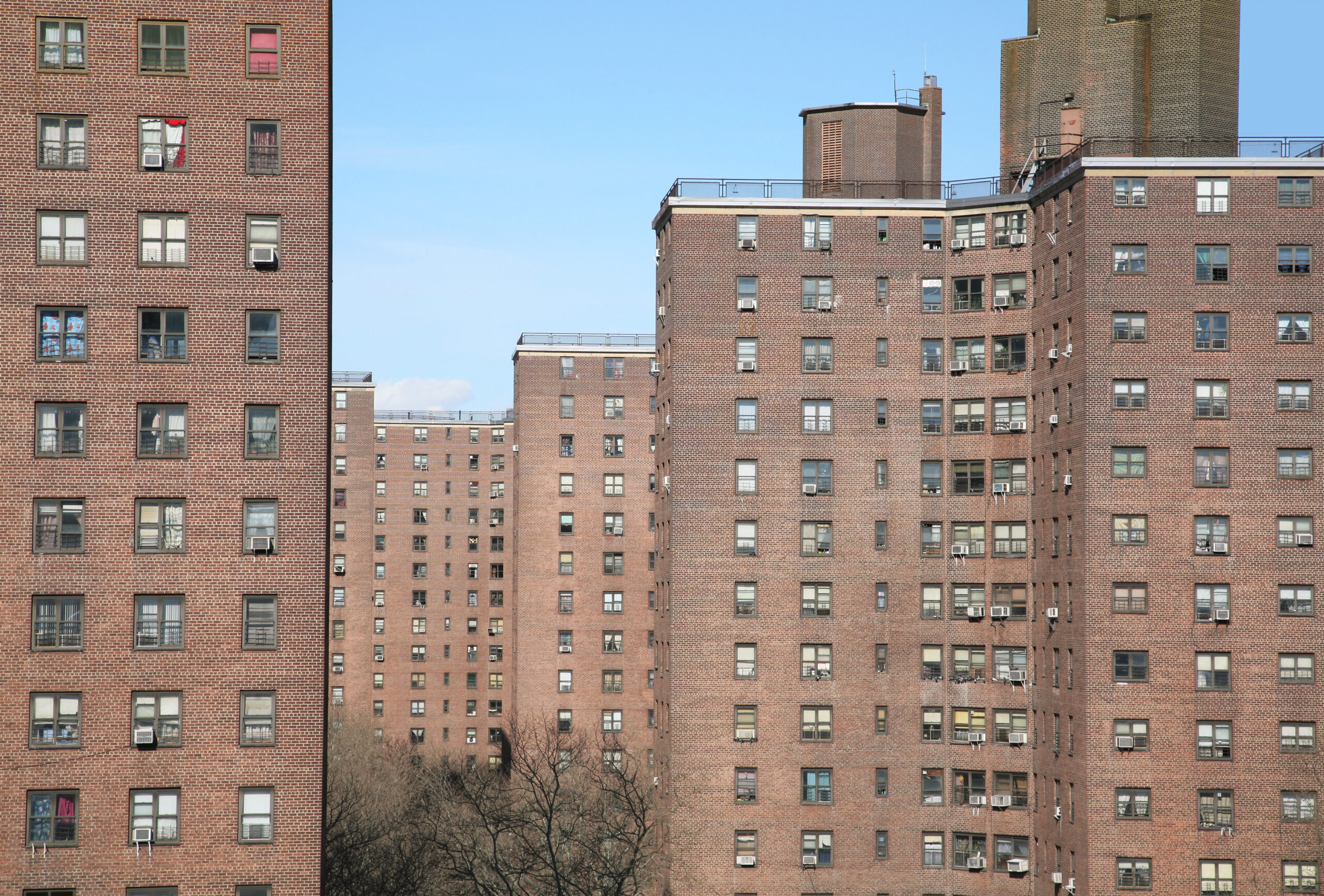 Single mothers 10 times more likely to have public housing than married couples, data show