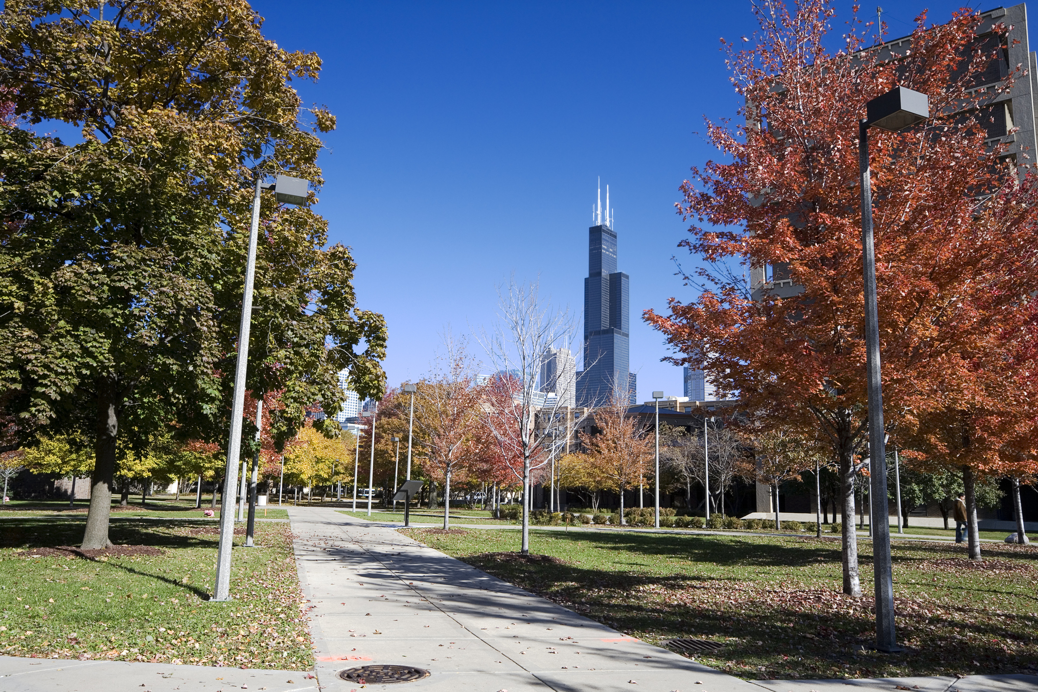 Illinois college towns fear pandemic undercount