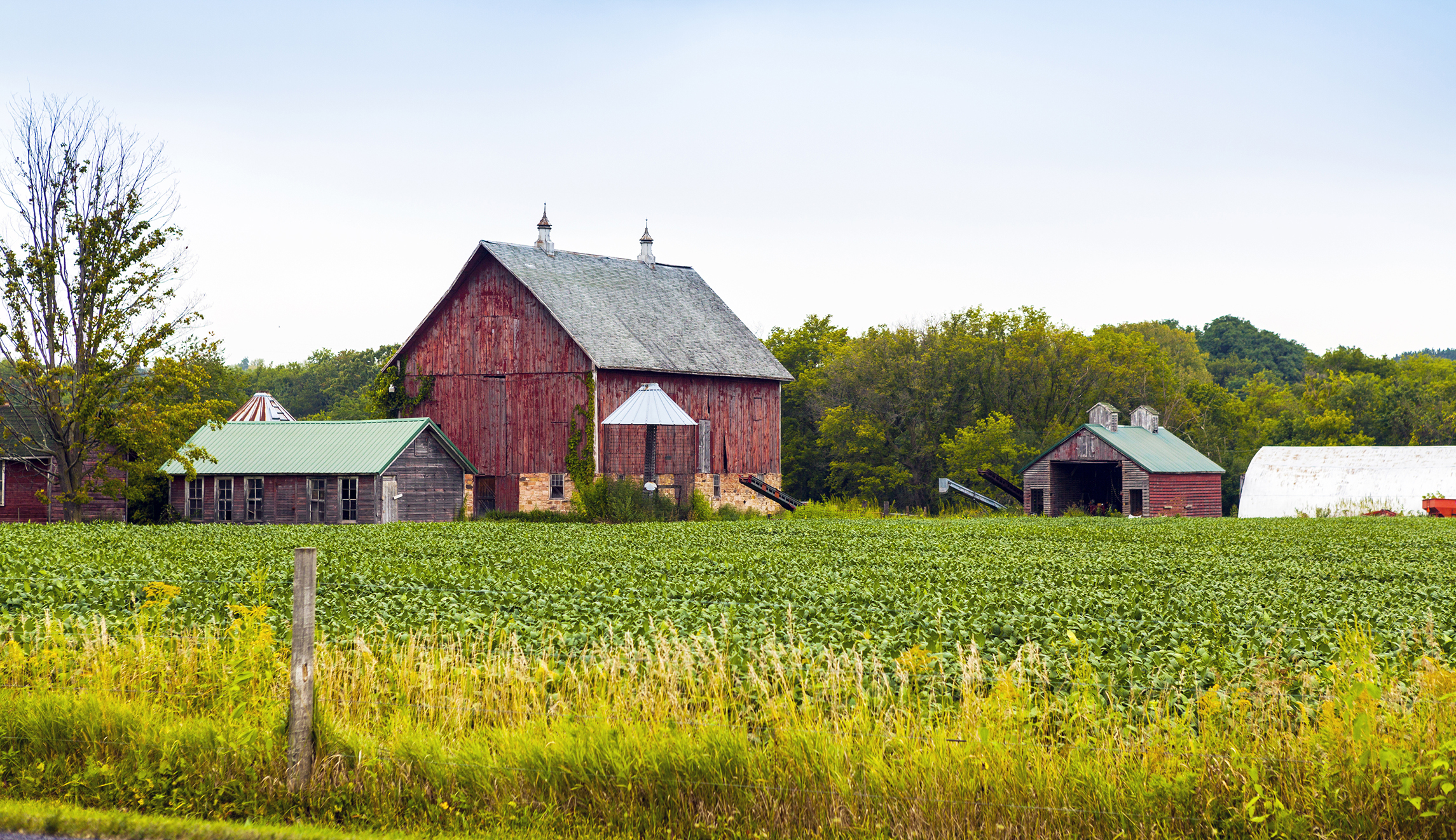 Bill would bar Chinese interests from American farmland