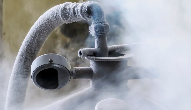 Man sues to get his dad’s frozen head back