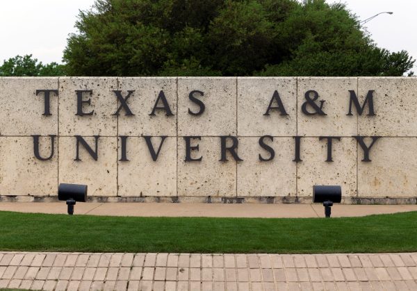 Texas A&M nursing school required ‘commitment to diversity and inclusion’ for faculty hires