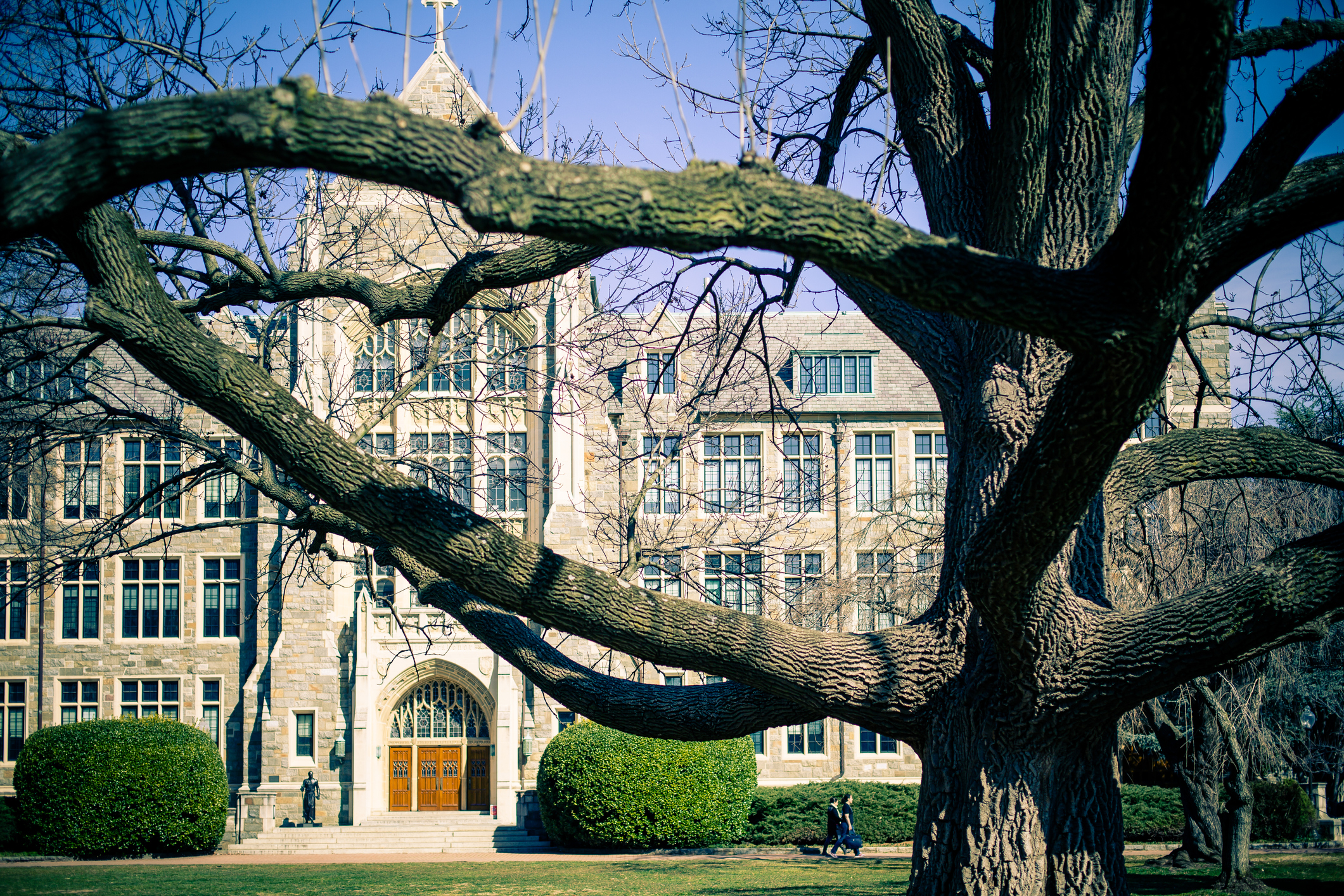 Georgetown suspends law professor for criticizing Biden vow to pick black woman