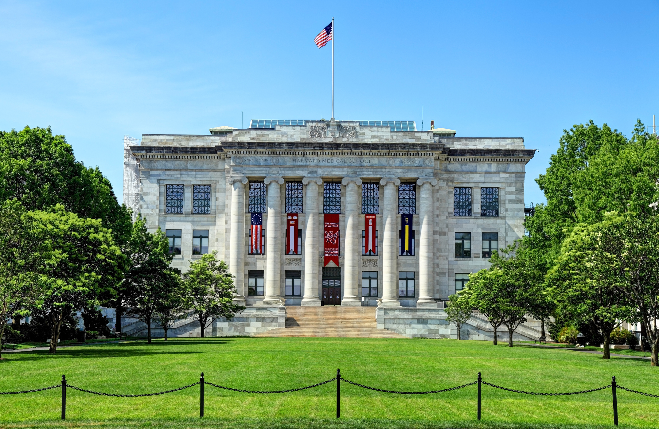 ‘White Coats for Black Lives’ issues racial justice report card to Harvard Medical School