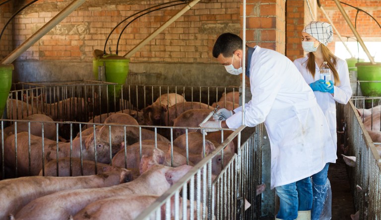 FDA chief plans attack on superbugs in meat supply