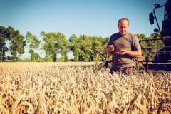 Sow tariffs, harvest pain