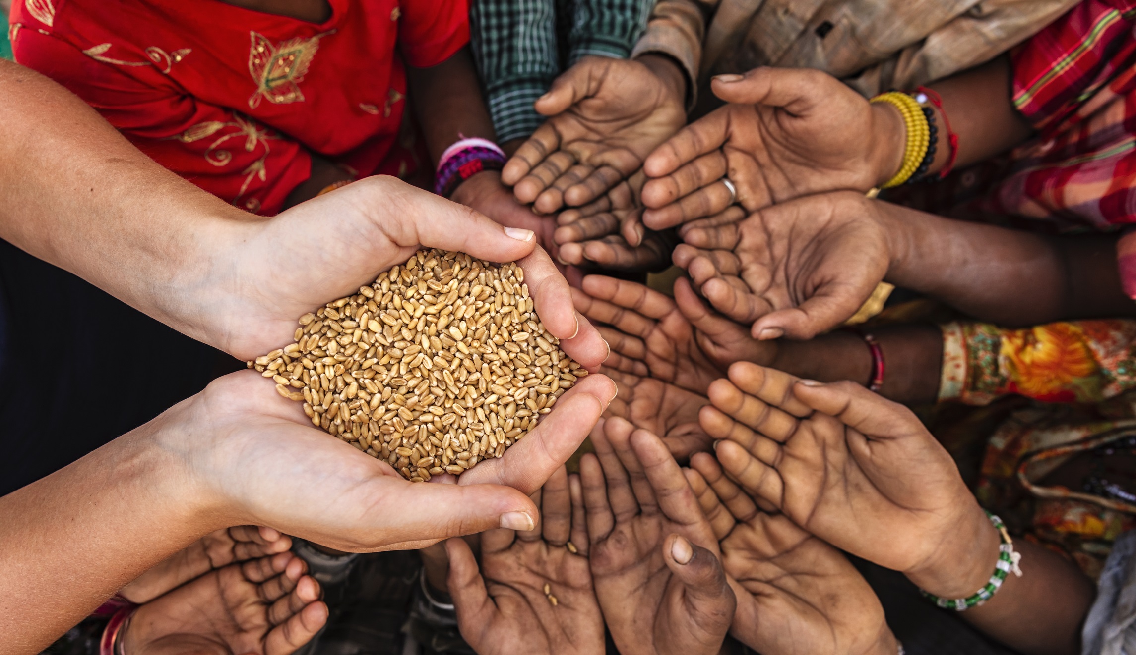 Nobel Prize in economics winners help humanity fight poverty