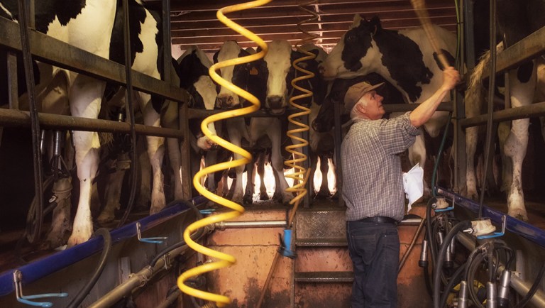 Trade war bruises family farms in Trump country