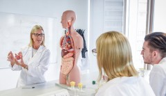 New York University has raised $450 million to fund full-tuition scholarships for all medical students