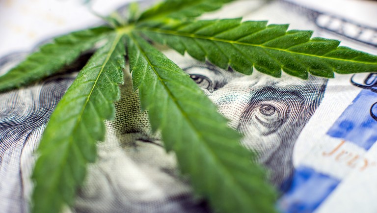 Want to help the economy? Fix the marijuana banking mess