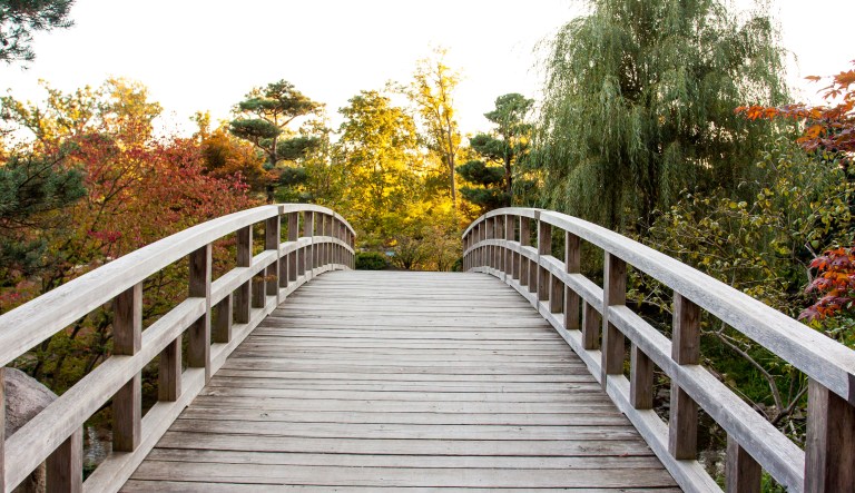 Police say 63-year-old man stole entire bridge