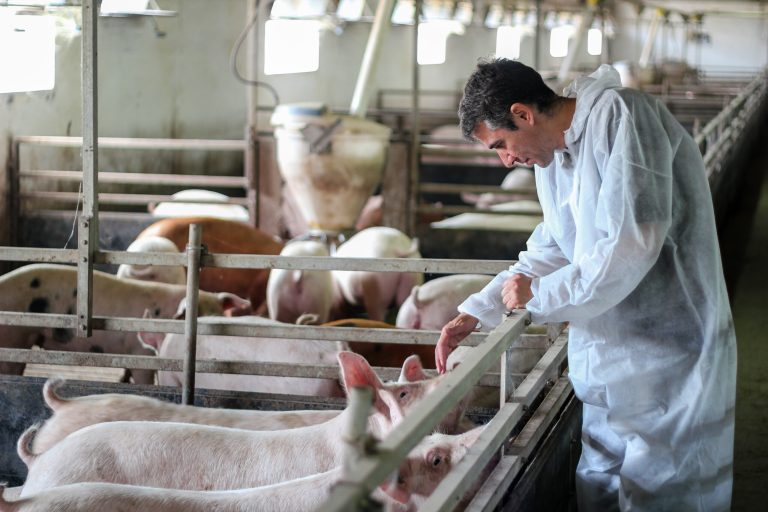 Animal activists dangle China boogeyman in fight over California pork restrictions