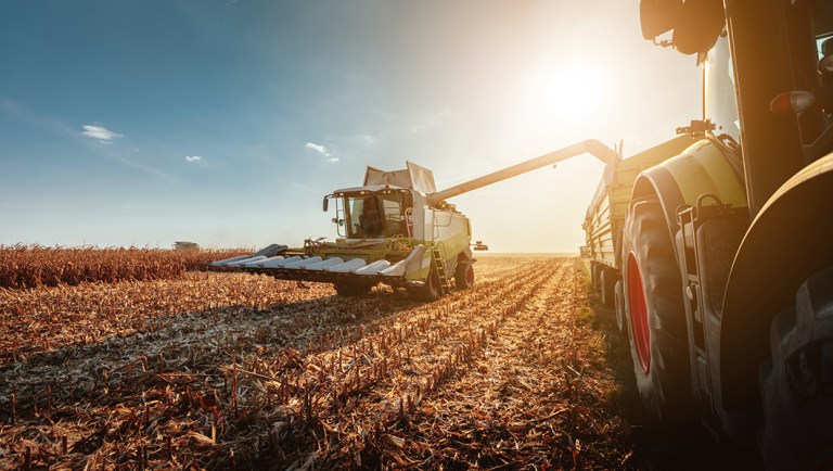 Rep. Tom McClintock: Let’s follow New Zealand and end farm subsidies