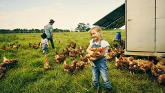Farmers brace for bitter harvest under Trump’s trade war
