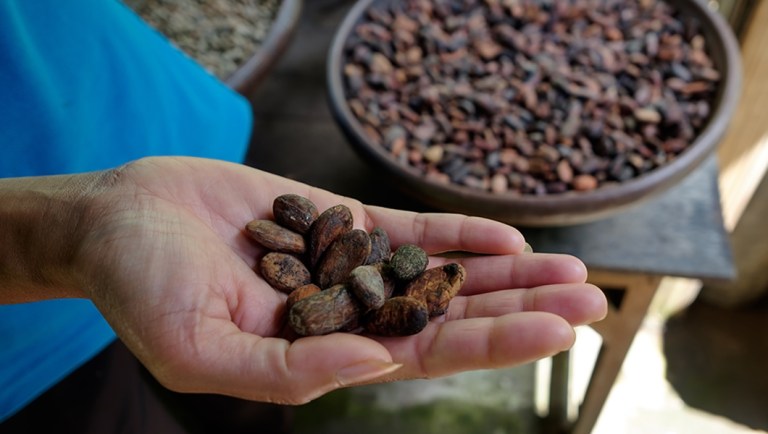 Social enterprise is the solution we need right now