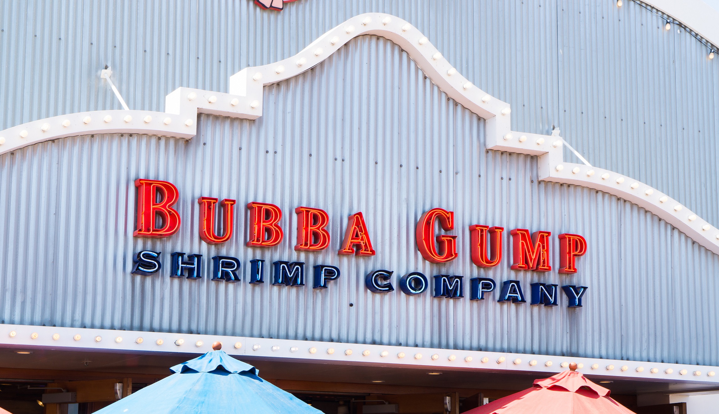 Winston Groom, historian and author of <i>Forrest Gump</i>,<i> </i>lived large