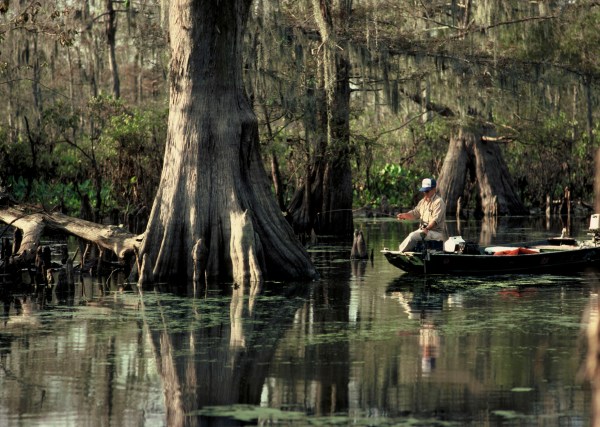 Louisiana departments of Wildlife and Fisheries, Environmental Quality to seek fee increases