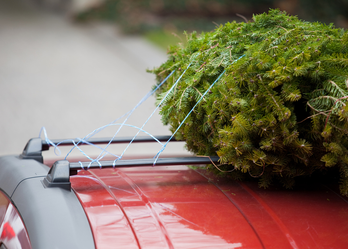 Real-life grinches steal Christmas trees from Jesus and holiday displays