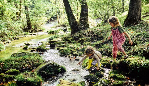 Streamlining environmental regulations doesn’t have to endanger the environment