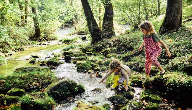 Streamlining environmental regulations doesn’t have to endanger the environment