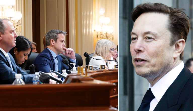 Elon Musk accused Jan. 6 committee members Reps. Liz Cheney (R-WY), Adam Kinzinger (R-IL), and Adam Schiff (D-CA) of withholding Jan. 6 video evidence for âpartisan political reasons.â