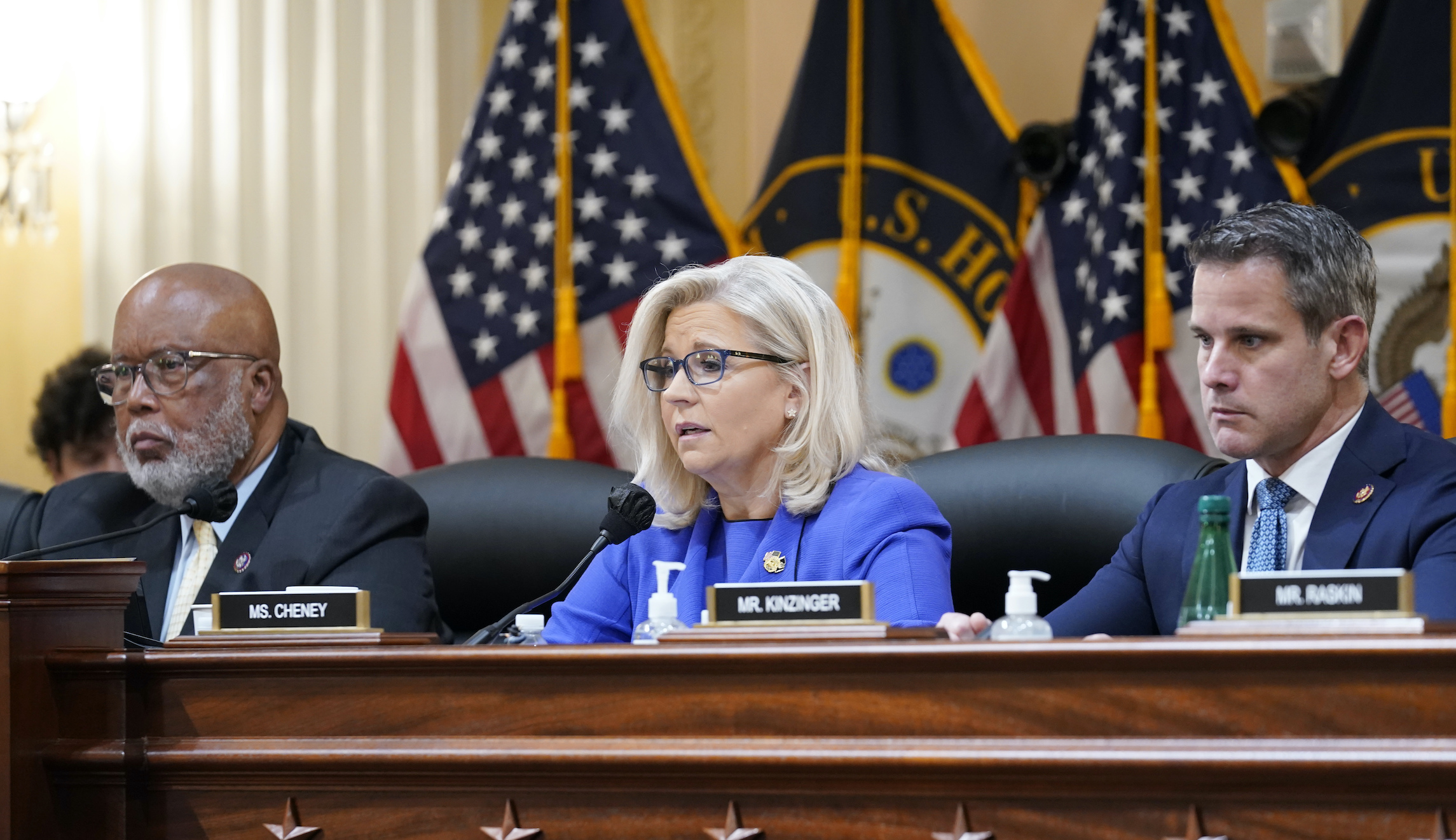 Liz Cheney,Bennie Thompson,Adam Kinzinger