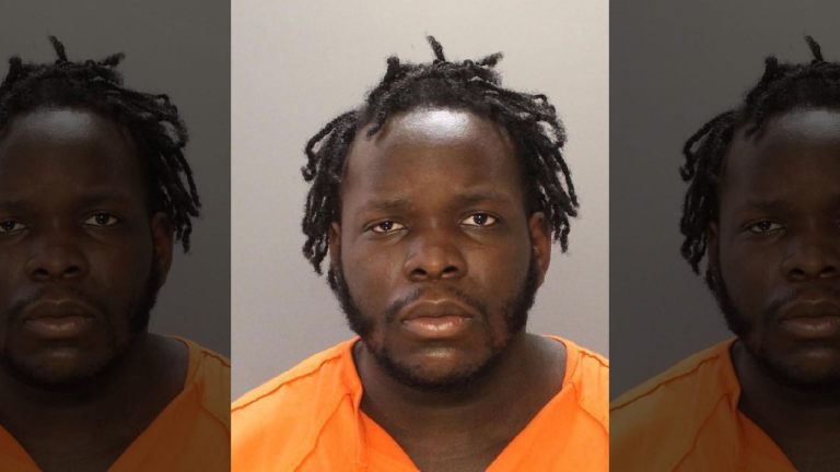 Accused felon released on reduced bail charged with fatally shooting man days after leaving jail