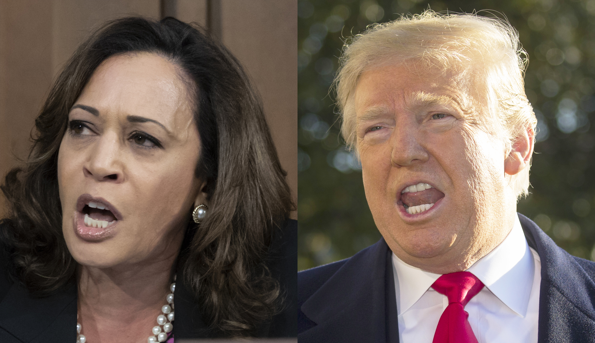 2024 poll shows Trump leading Harris by larger margin than Biden rematch
