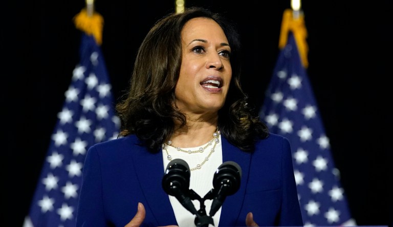 Tucker Carlson warns to ‘expect more lying, more propaganda’ circling Kamala Harris’s candidacy