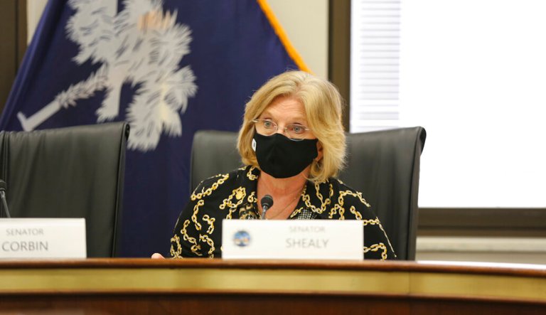 ‘What are we looking for?’: GOP state senator questions party’s calls for audit in county Trump won handily