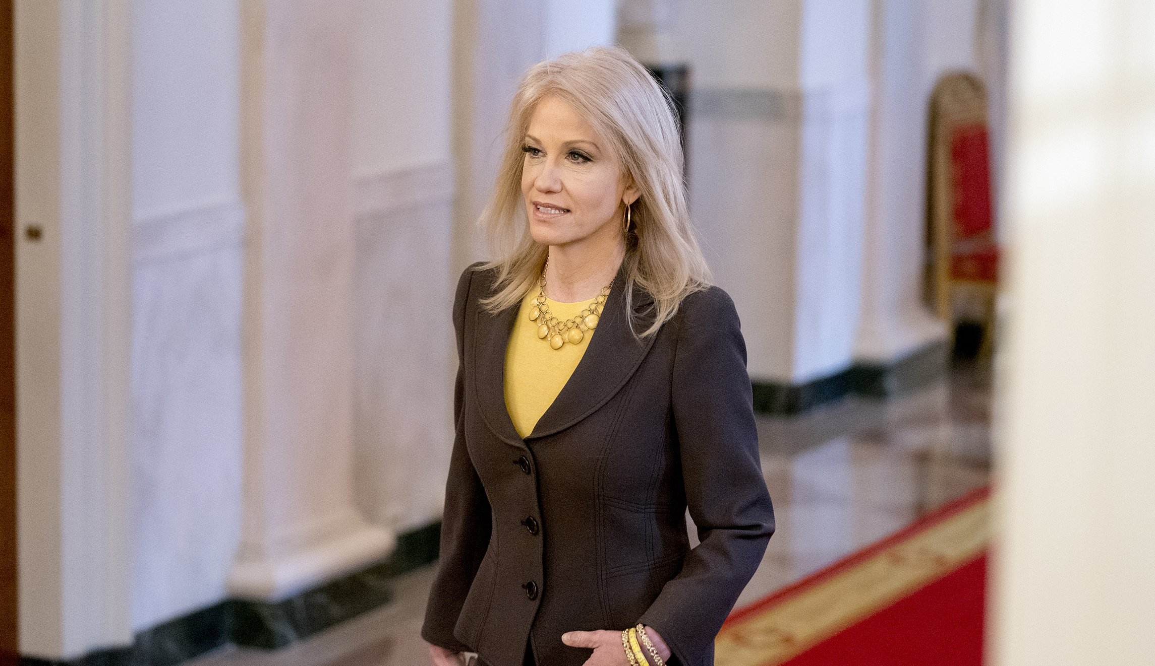 Fox News host cuts off Kellyanne Conway when she attacks de Blasio